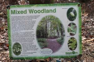 Nature Trail Lees Wood
