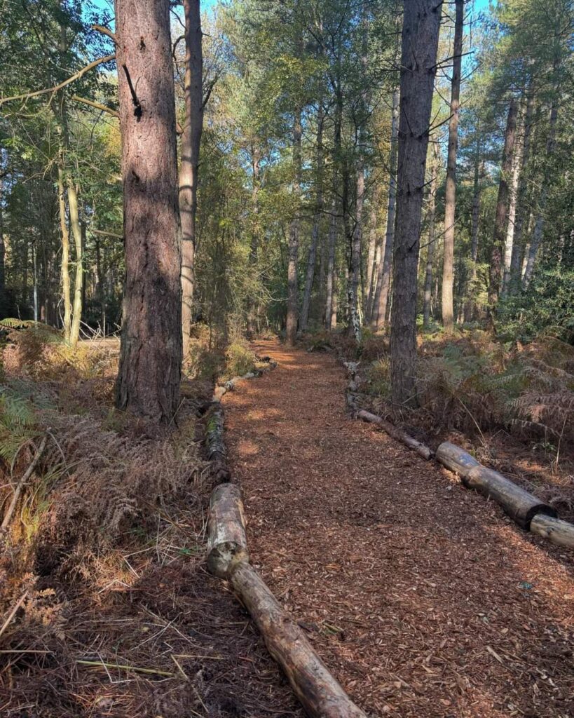 Lees Wood Scout & Guide Activity Centre — photo 7